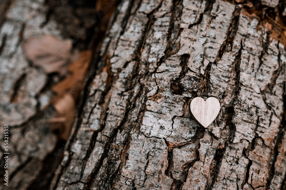 small wooden valentine's heart on a stump small wooden valentine's heart on a stump