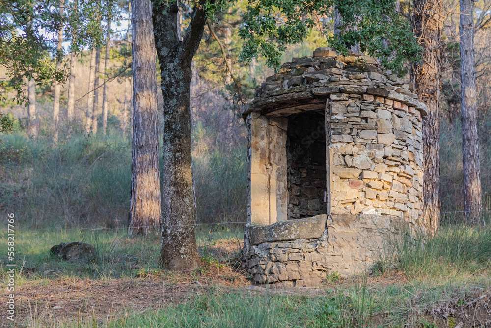 ruins of an old well in the middle of the forest ruins of an old well in the middle of the forest