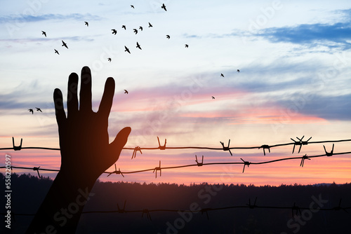 International Holocaust Remembrance Day. January 27. silhouette of hand with barber wire on background of sunset with flying birds. Poster or banner design. photo