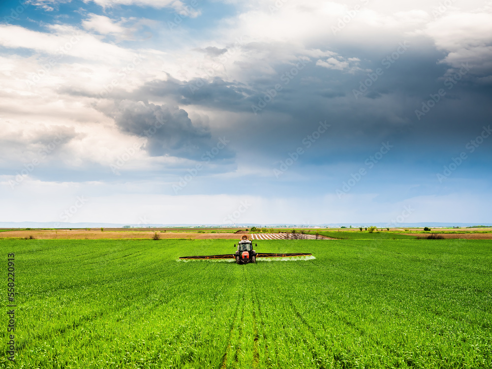 Tractor-applied herbicides, pesticides, and fungicides in wheat fields, farmer protecting crops from pests and weeds - obrazy, fototapety, plakaty 