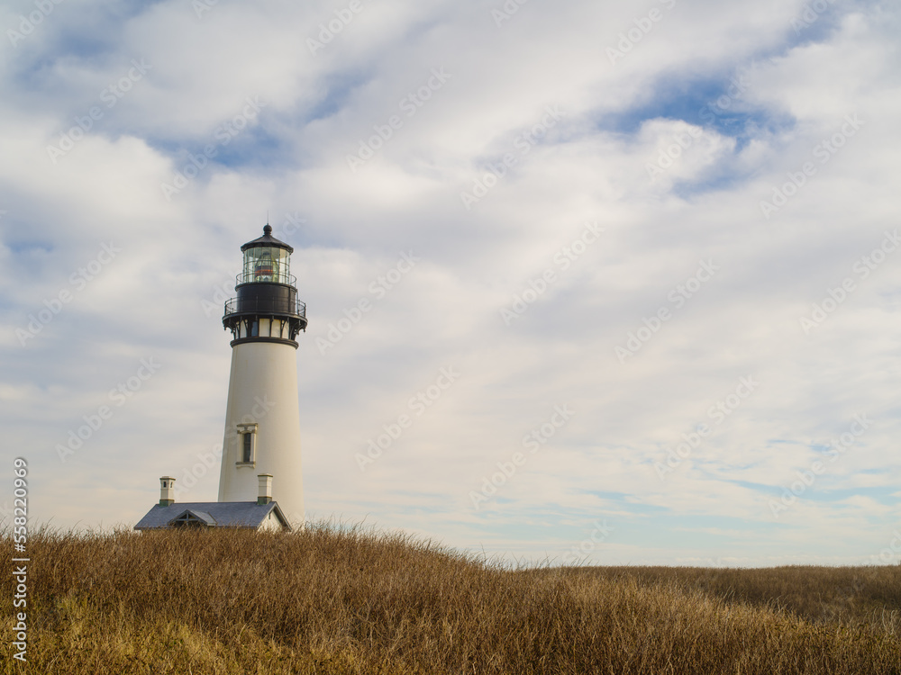 Majestic lighthouse under a cloudy sky. Around yellow withered grass. Romance, tourism, travel, excursions, solitude. Advertising, banner, postcard.