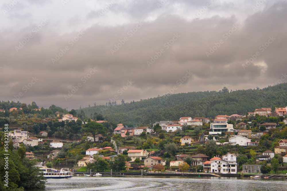 The Douro, river of Portugal, with its cruise ships and its stepped hills