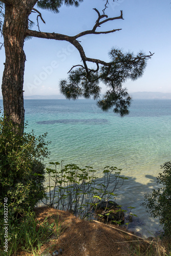 Fototapeta Naklejka Na Ścianę i Meble -  Landscape of coastline of Thassos island, Greece