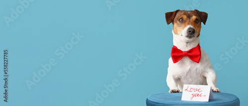 Jack Russel terrier and letter with text LOVE YOU on pouf against blue background with space for text. Valentine's Day celebration © Pixel-Shot