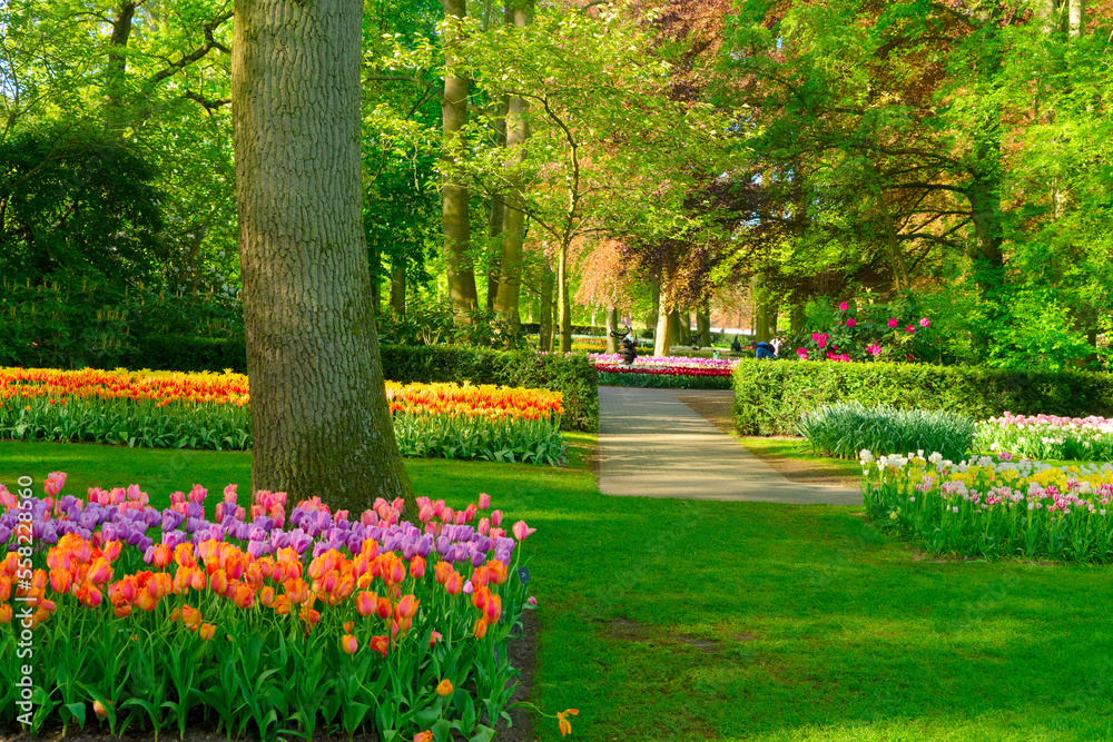 fresh spring lawn with blooming colorful flowers and green tree in formal garden