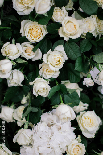 Small bouquets of white roses
