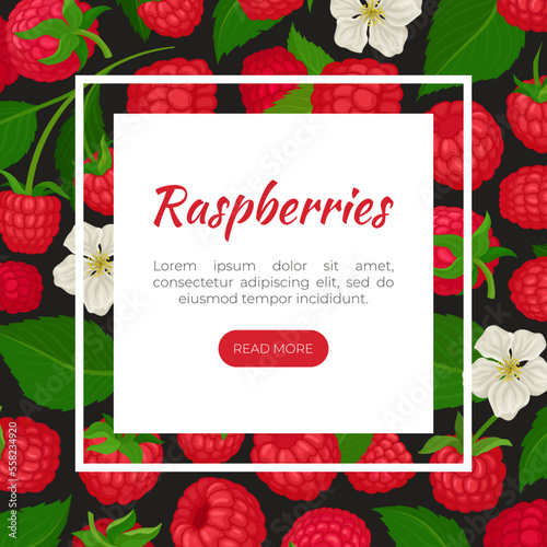 Raspberry landing page template. Fresh organic ripe berries, healthy natural vegetarian product web banner cartoon vector