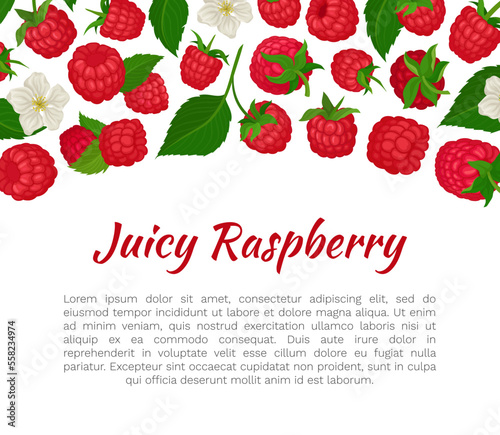 Juicy raspberry banner template. Fresh organic ripe berries, healthy natural vegetarian product card, poster, brochure cartoon vector