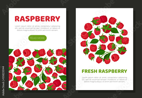 Fresh raspberry mobile app templates set. Organic ripe berries, healthy natural vegetarian product web banner, card cartoon vector