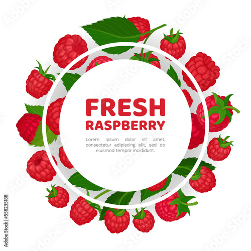Fresh raspberry banner template. Fresh organic ripe berries, healthy natural vegetarian product card, poster, packaging design cartoon vector