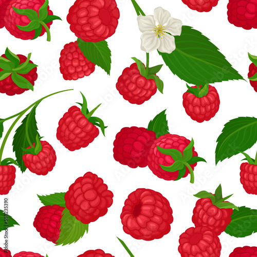Ripe juicy raspberry seamless pattern. Organic ripe berries, healthy natural vegetarian food repeating print for wallpaper, wrapping paper, textile, package design cartoon vector
