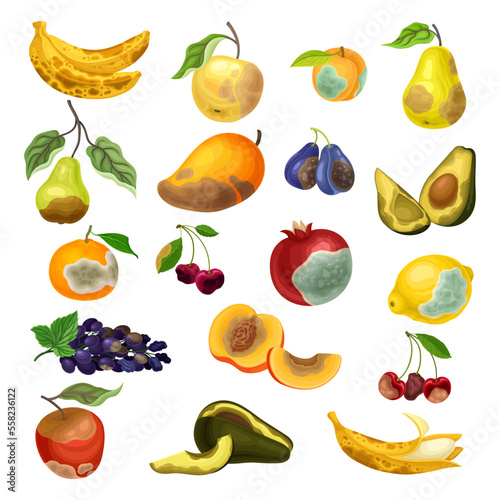 Garden Rotten Fruits with Skin Covered with Stinky Spot Big Vector Set