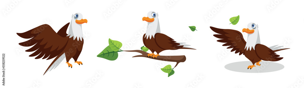 Vector illustration of cute and beautiful bald eagle in cartoon style.Charming characters of an eagle flying, sitting on a branch, looking at a leaf isolated on a white background. Vector illustration of cute and beautiful bald eagle in cartoon style.Charming characters of an eagle flying, sitting on a branch, looking at a leaf isolated on a white background.