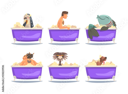 People and animals taking bath. Funny male characters, penguin, set, fish, cat, dog relaxing in Foam bathtub cartoon vector illustration
