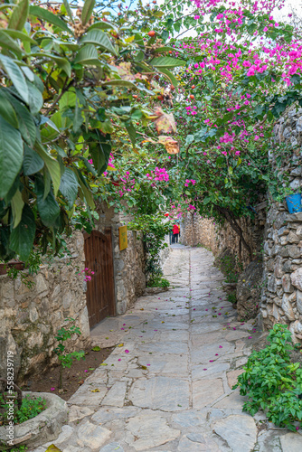 Datça with the old stone houses are covered in brightly colored bougainvillea bushes, is famoust  especially because the renowned poet Can Yücel lived and died here
