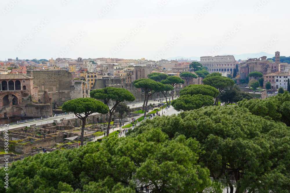 Overlooking the historic centre of Rome, Italy