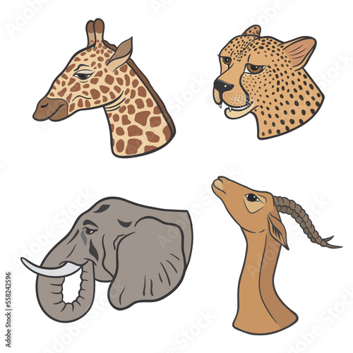 vector graphic illustration with animals