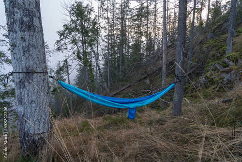 Weekends Hammock relaxation in the forest,