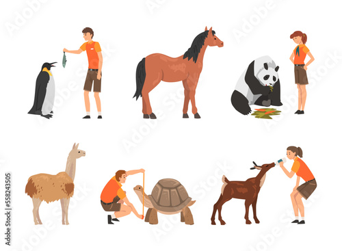 Professional zoo workers caring of animals in zoo set. Veterinarian in feeding and curing alpaca, panda, horse, penguin, turtle, fawn cartoon vector illustration