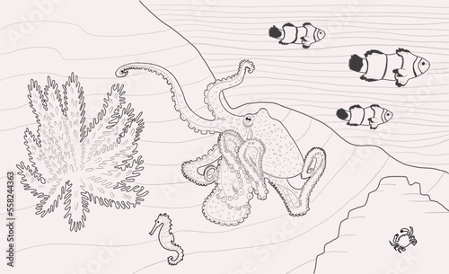 Octopus on the seabed in line art style.Coloring page.Ocean.Nature