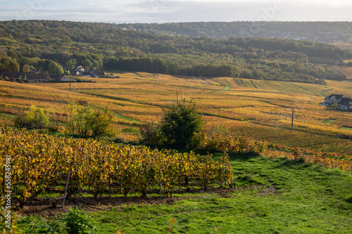 Panoramic autuimn view on champagne vineyards and village Hautvillers near Epernay  Champange  France
