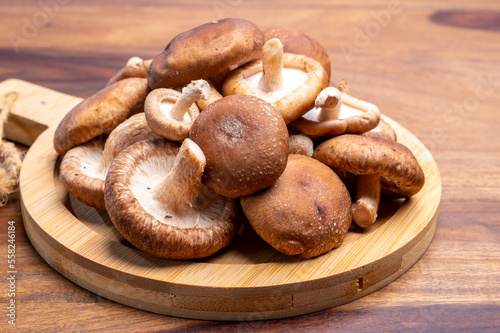 Fresh brown Lentinula edodes or shiitake edible mushrooms