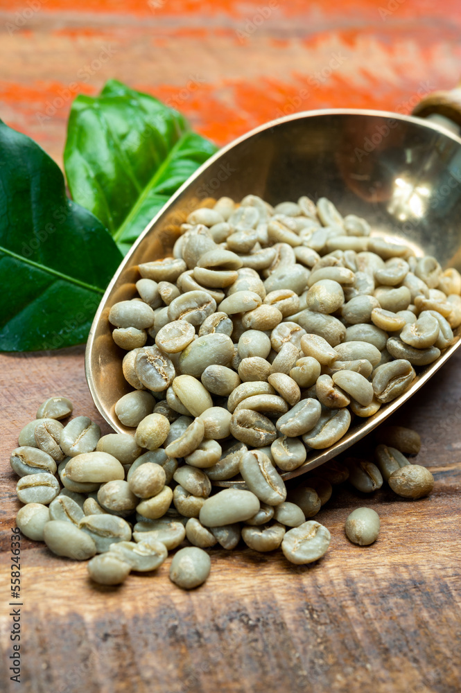 Green coffee beans from South America coffee producing region, from