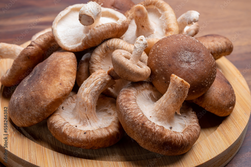 Fresh brown Lentinula edodes or shiitake edible mushrooms