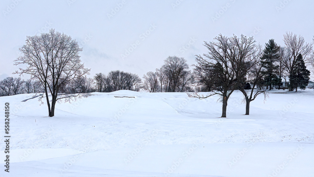 Obraz premium Winter contrast