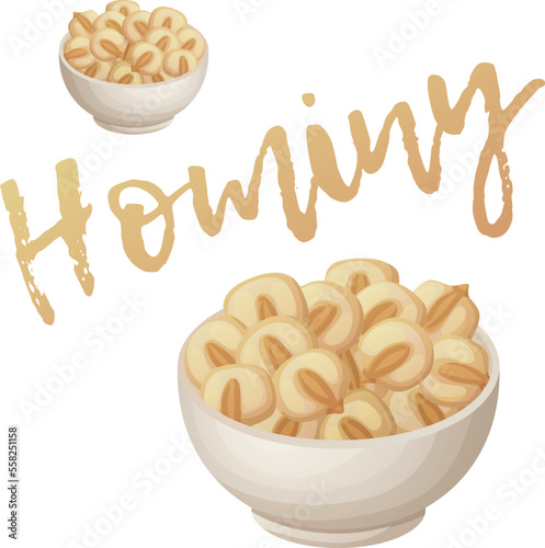 Hominy in a bowl vector icon. Dried corn kernels in a soup plate cartoon illustration isolated on white background photo