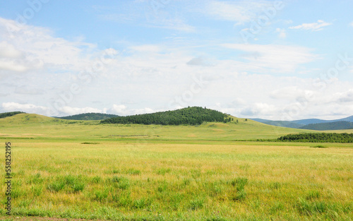 Endless hilly steppe with lush green grass under a summer cloudy sky. © Алексей Желтухин
