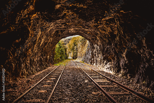 cave with train tracks leading into a forest, photo with vanishing points