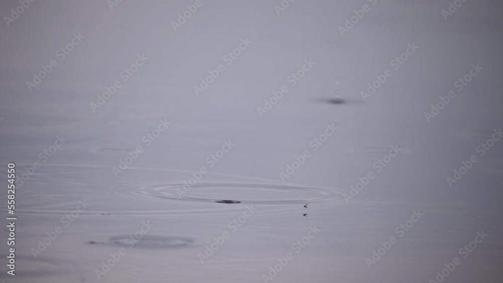 Residual drizzle after a stormy thunderstorm. Raindrops fall on a large puddle, making many circles. Residual drizzle after a stormy thunderstorm. Raindrops fall on a large puddle, making many circles.