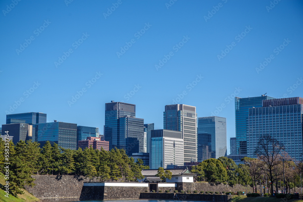 Obraz premium 皇居から望む丸の内の風景