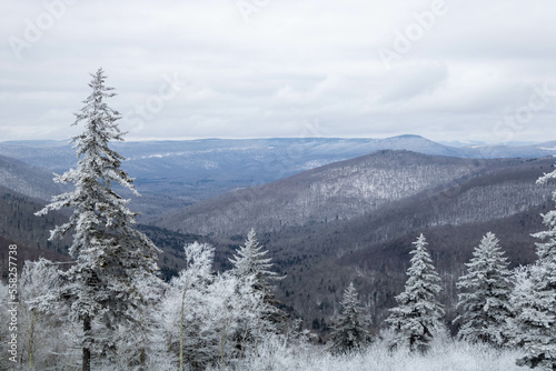 Frozen landscape