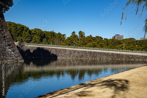 皇居の風景