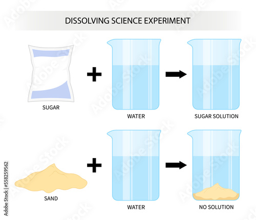 dissolving experiment solute dissolves Flour Pepper Powder