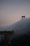 Golden gate bridge covered in fog