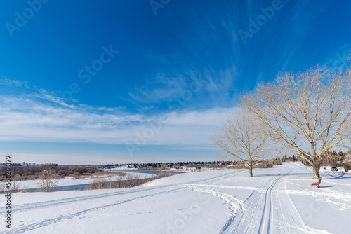 Winter Time in Meewasin Park, Saskatoon, Canada © Scott Prokop