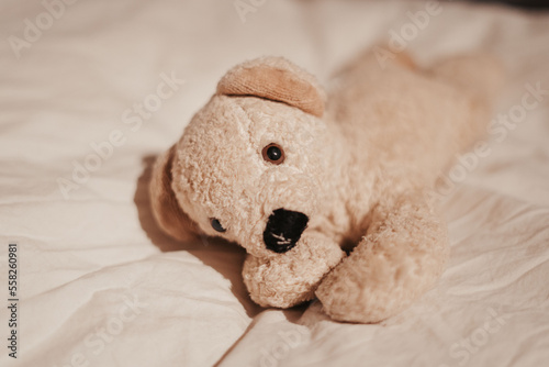 white stuffed animal bear as a toy for a baby or little kid, remembering childhood