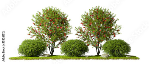 Nature landscaping gardening trees composition cut out backgrounds 3d rendering