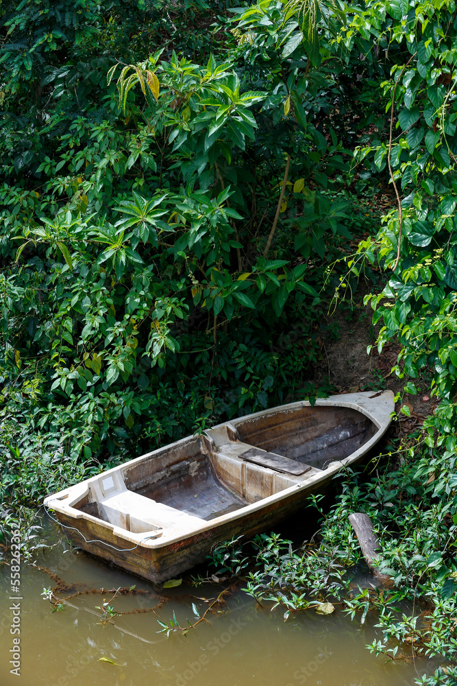 Old fiberglass boat anchored on the banks of the river Tiete, on countryside of Sao Paulo state, Brazil Old fiberglass boat anchored on the banks of the river Tiete, on countryside of Sao Paulo state, Brazil