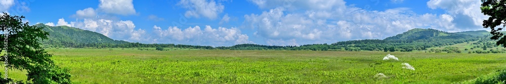 青空バックに見る夏の八島ヶ原湿原のパノラマ情景＠長野