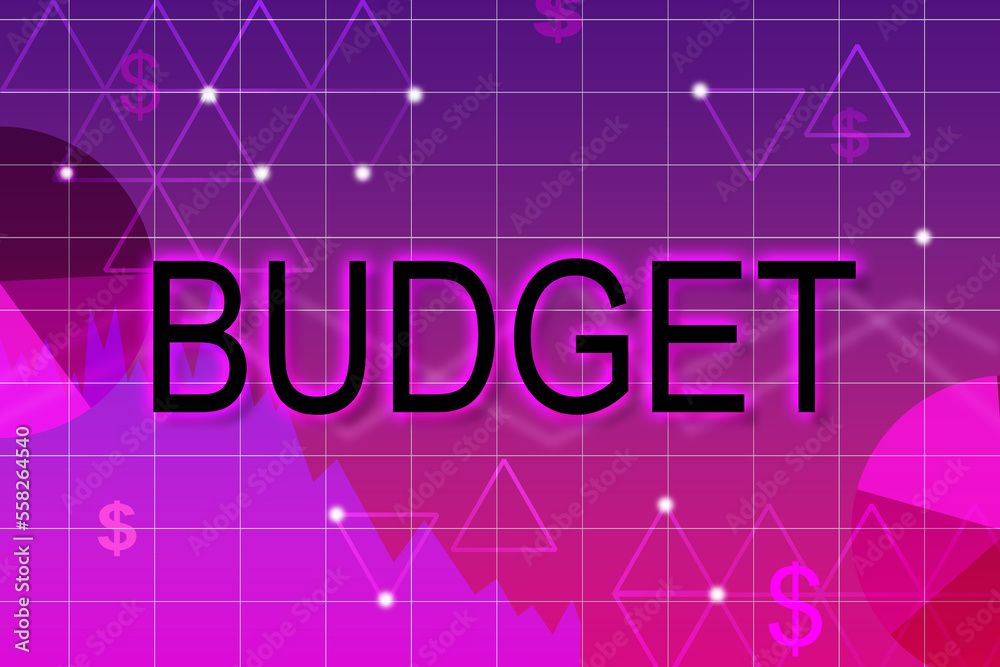 Word Budget, dollar signs, graph and charts on color background