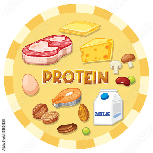 Variety of protein foods with text