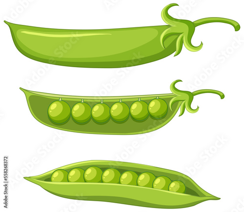 Green peas in a pod