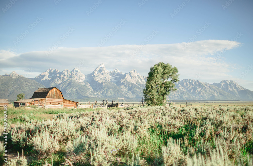 Grand Teton National Park