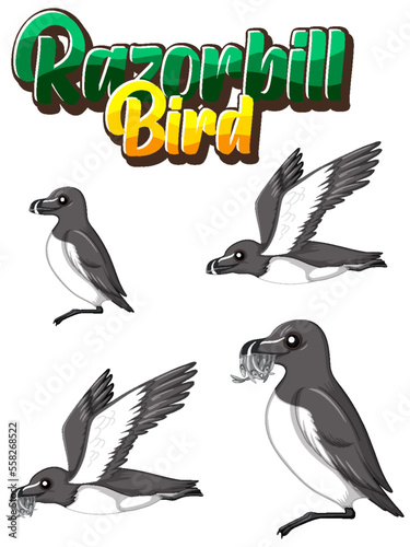 Razorbill birds cartoon character in different poses