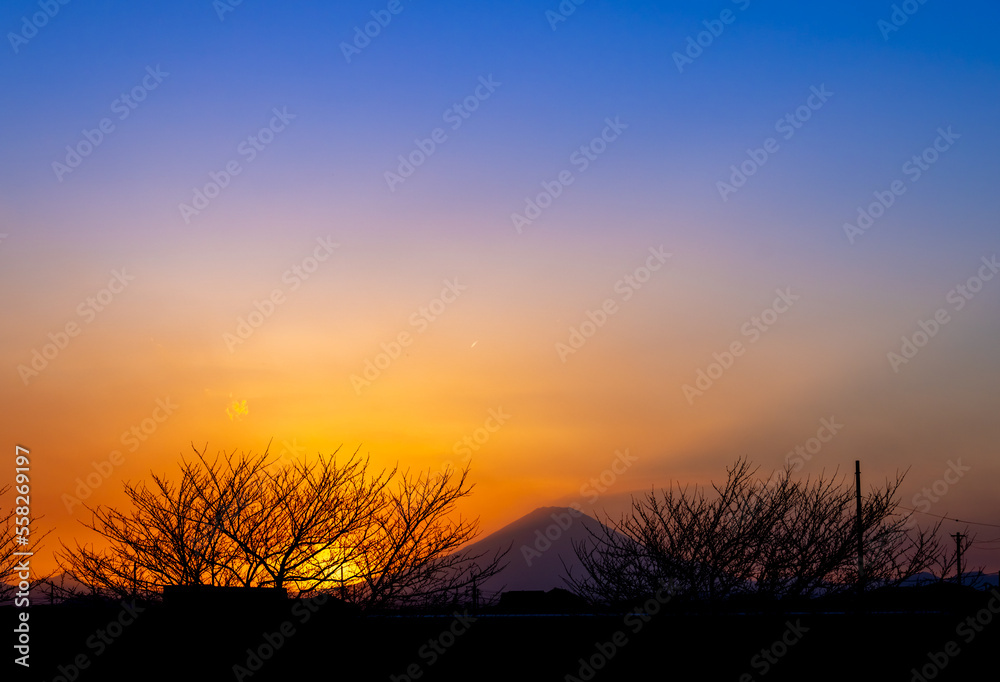 Obraz premium 夕暮れの富士山と樹々のシルエット