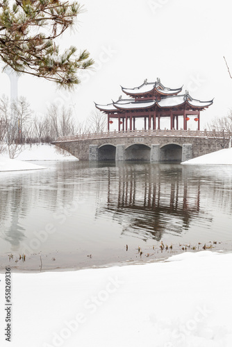 Photography Wetland Park snow in winter
